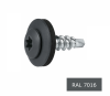 Wkręty farmerskie 4,8x19 TORX „zszywki” RAL7016 ANTRACYT 250szt.